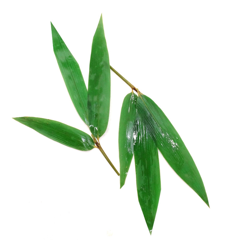 Special Plate Small Zongye Japanese Sushi Cuisine Barbecue Hot Pot Sashimi Milk Tea Decoration Three Leaves Indocamalamus Leaves