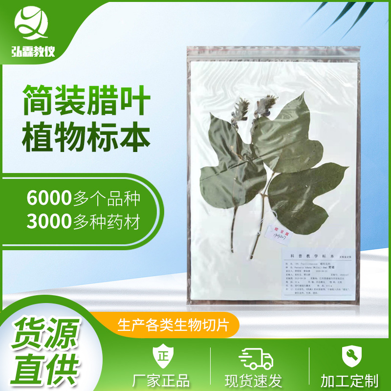 Поставки образцов растений, гербарий, традиционная китайская медицина, простые образцы восковых листьев