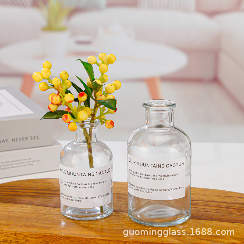 in stock European-style Transparent Glass Vase Hydroponic Vase Brown Dried Flowers Small Vase Shooting Props Reagent Bottle