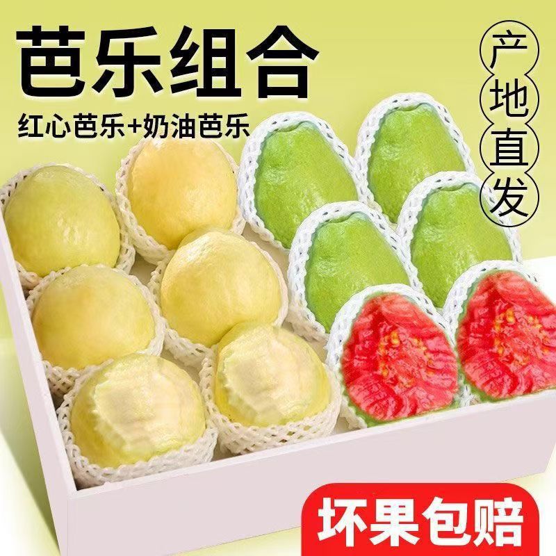 Смешанная гуава с мягкой и клейкой красной и белой сердцевиной 2.5кг, свежий фрукт, хрустящая сладкая мягкая клейкая гуава Rouge