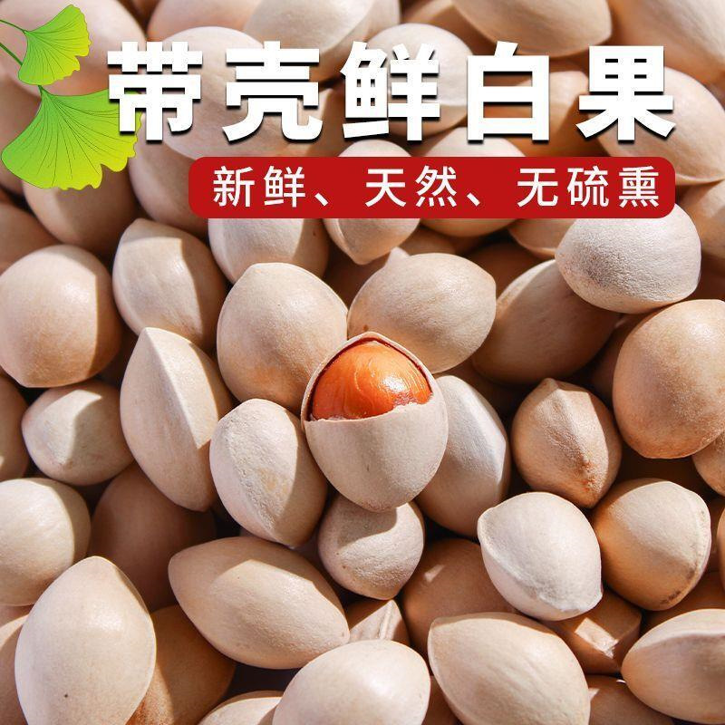2024 Fresh White Ginkgo Nuts Raw Unbleached Shelled White Ginkgo Nuts Xuzhou Pizhou Specialty