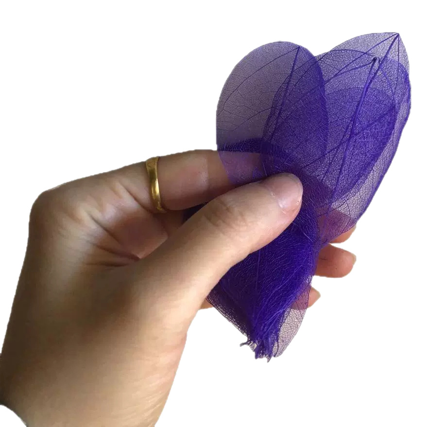 Diamond Leaf Vein Natural Material Background Picture Handmade DIY Photo Wide Decorative Painting Mural Craft Sticker Bookmark Leaf