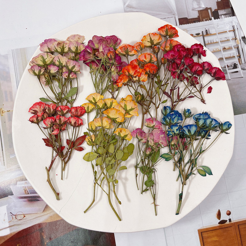 Rose Multi-head Small Rose Dried Flower Embossed Plant Specimen Gel Dropping Mobile Phone Case Candle Photo Frame Decoration Handmade Material