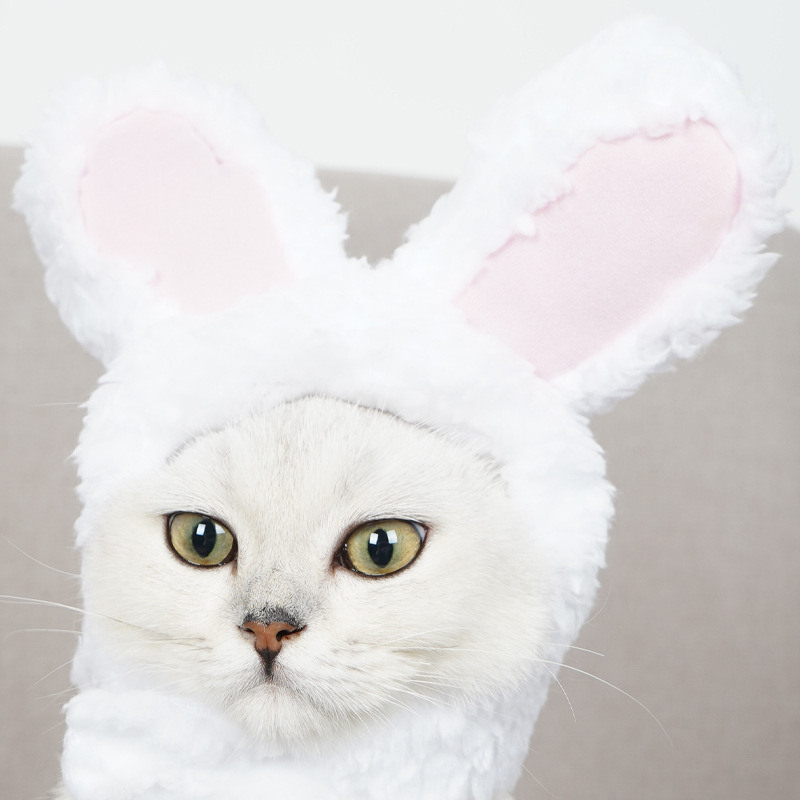 Cross-border Cat Headgear Cute White Rabbit Cross-dressing Hat Cat Headwear Performance Props Funny Pet Hat Rabbit Ears