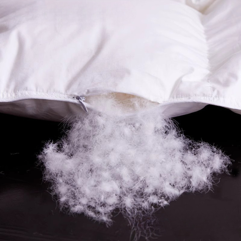 Export Five-Star Hotel down Quilt 95 White Goose down Quilt Winter Quilt Core Thickeneded Warm Spring & Fall Quilt Double