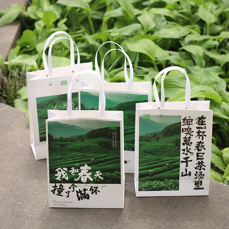 Spring Tea New Handbag Green Tea New Tea Packaging Bag Mingqian Longjing Biluochun Huangshan Maofeng Anji White Tea Gift