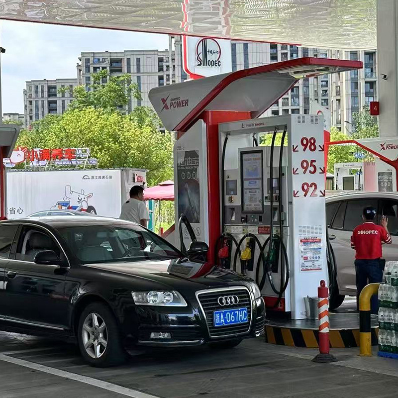 Hailong Fuel Treasure Sinopec Engine Carbon Deposit Remover Gasoline Cleaner Three-Way Catalytic Converter Pea