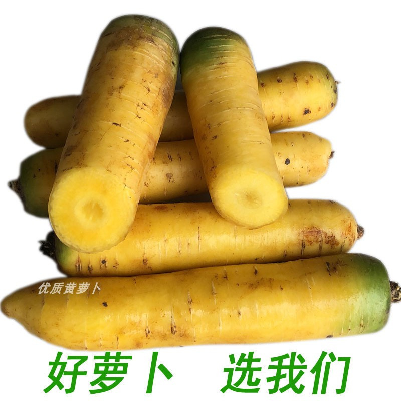 Fresh Yellow Radish and Yellow Carrot Hand-Grabbed Rice from Yuncheng, Shanxi, Xinjiang Flavor, Farm Style, Free Shipping 25kg