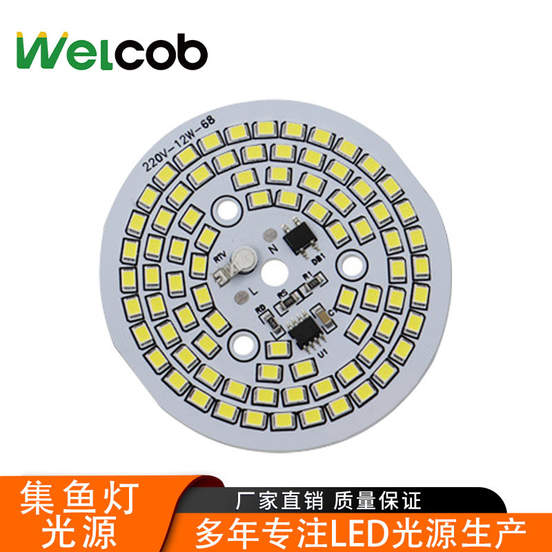 12W многопитовая Dob бездрайверная Cob светодиодная лампа патч-лампа светильник источника света Ac220V