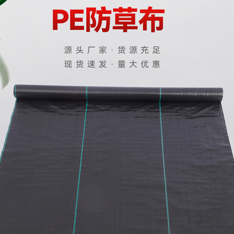 Pp Weed Control Cloth Polypropylene Weed Barrier Agricultural Orchard Bright Black Cloth Weed Control Ground Cover Anti-Aging Treatment