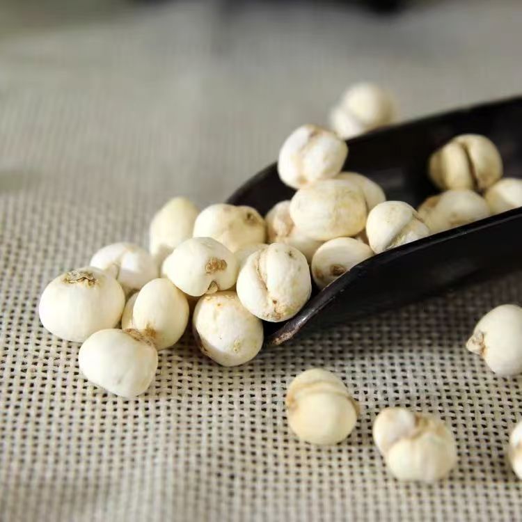 Authentic Sichuan Fritillaria, a Genuine Sichuan Fritillaria from Aba, Sichuan, Sulfur-Free, Sustainably Sourced, Selected Dried Goods