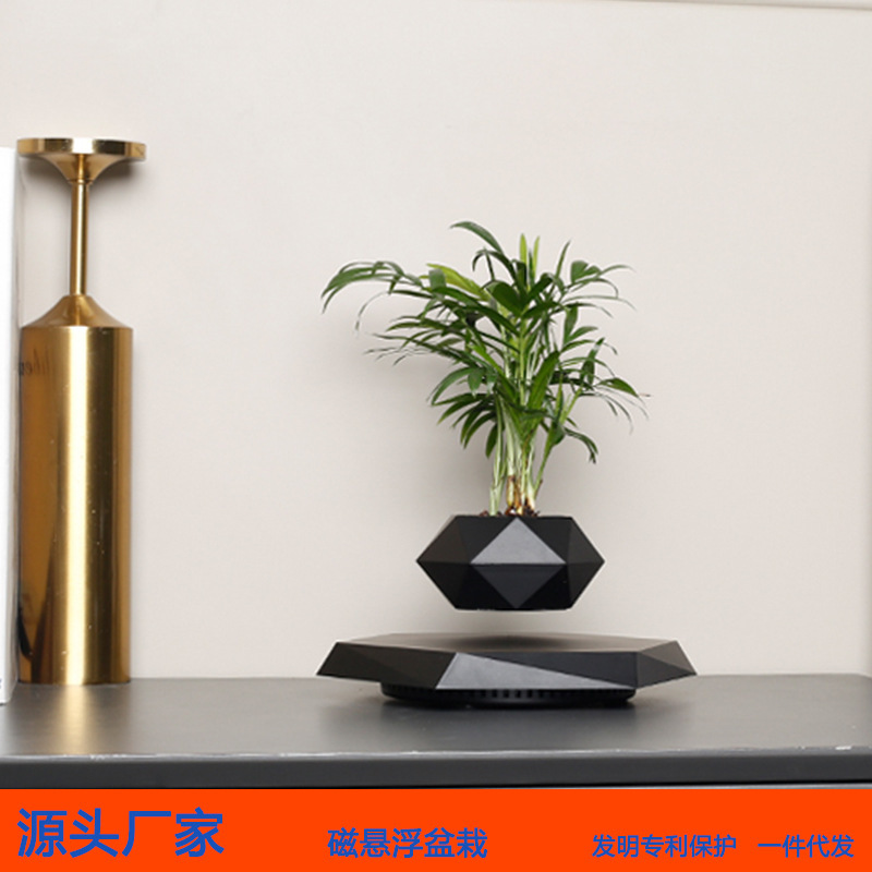 Magnetic Levitation Bonsai, Creative Aerial Plants and Flowers, Unique Style, Home Office Decorations, Cross-Border Green Plants