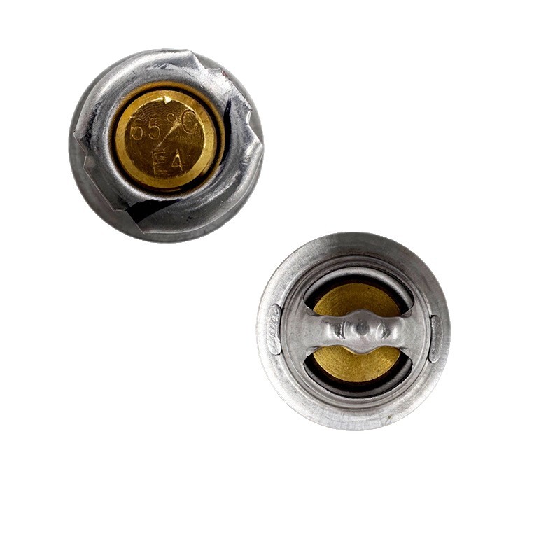 Original Thermostat Odes 21040104001 Cf 0800-022700