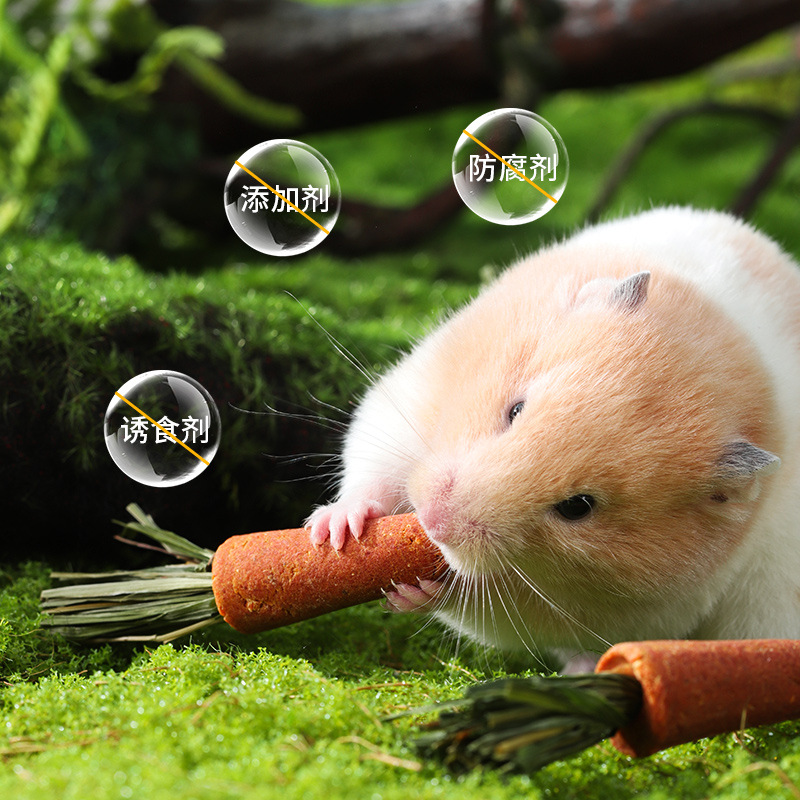 Hamster Carrot Molar Stick Snacks Golden Bear Rabbit Grass Cake Edible Molar Stone Toys Landscaping Supplies