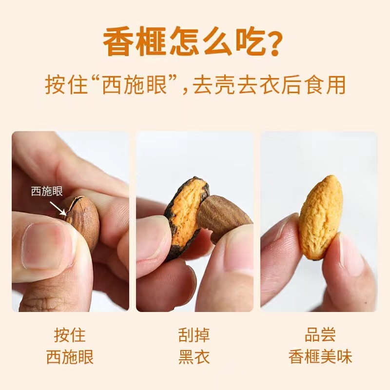 New Arrival Torreya Nuts Bulk Wholesale Torreya Fruit Snacks Factory Direct Sales Specialty Dried Fruits New Year Goods Dropshipping