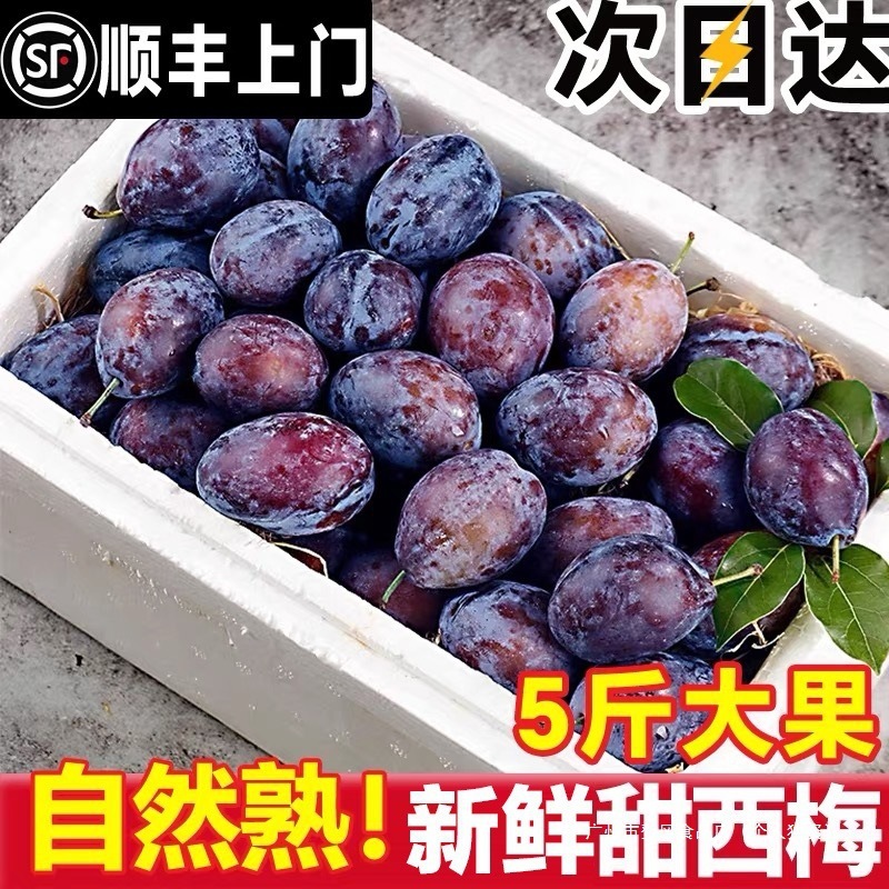Prune Fresh Fruit 2.5kg Fresh Fruit Seasonal Whole Box Prune French Seasonal Blue Honey Large Prune Seasonal Gift Box