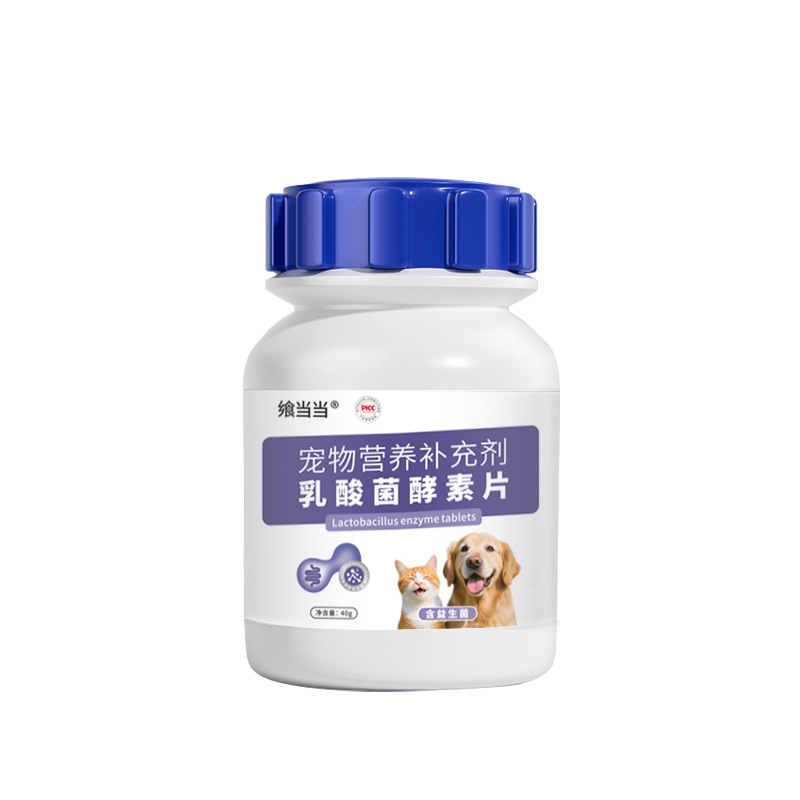 Pet Lactobacillus Enzyme Tablets Nutritional Supplements for Dogs and Cats Care for Gastrointestinal Nutrient Absorption Lactobacillus Tablets