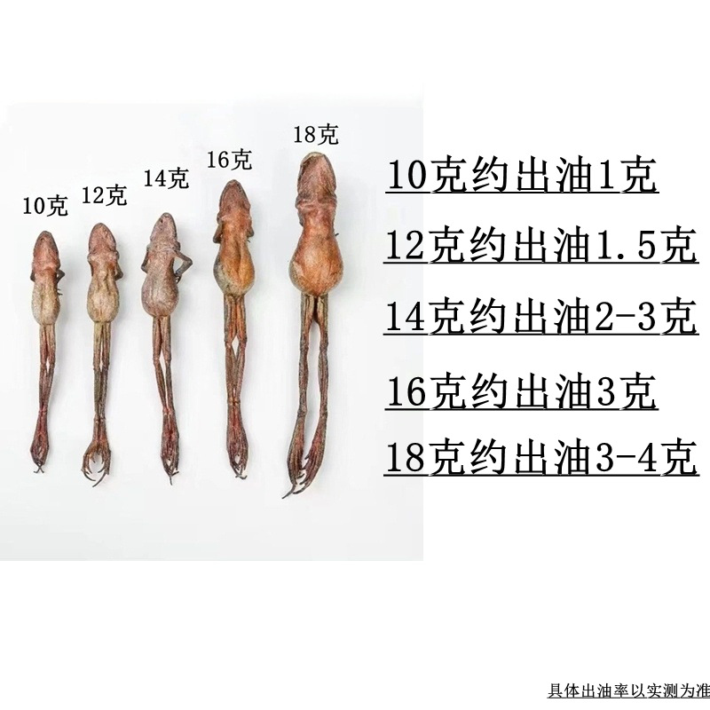 Longbai Mountain Specialty Dried Frog, Dried Toad, Snow Toad, Whole Dried Frog Oil Capsules, Food Bulk Wholesale Gift Box