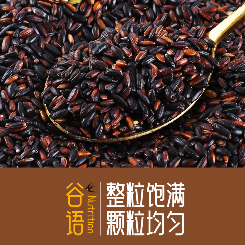 Blood glutinous rice 500g vacuum packaging northeast new rice black glutinous rice black brown rice cereals coarse grains factory wholesale