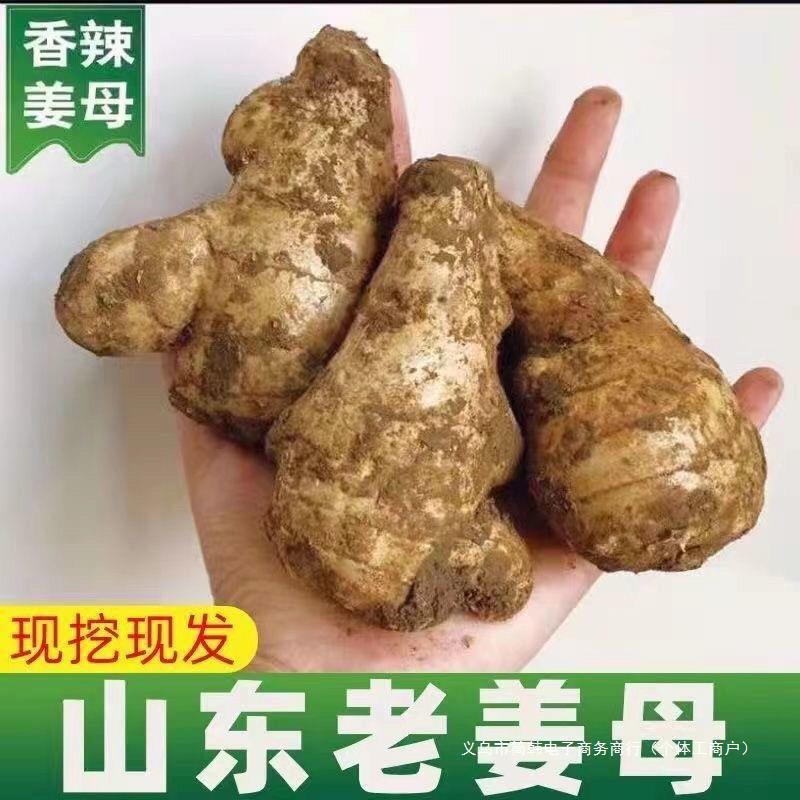 Свежий имбирь, свежий куркума, имбирь Шаньдун, сушеный имбирь, имбирь после родов, кубики имбиря, свежевыкопанный имбирь, 2.5кг бесплатная доставка