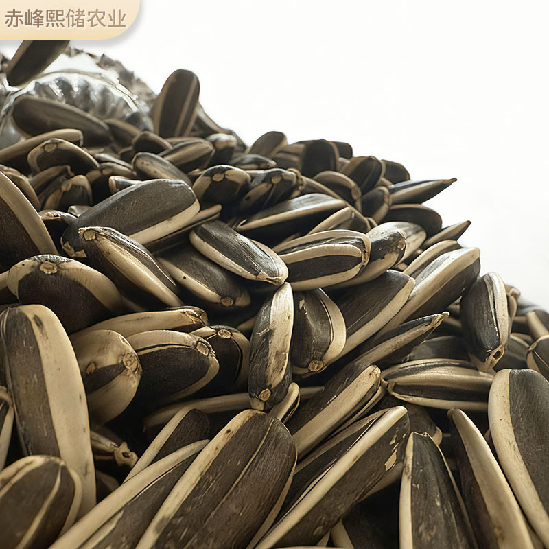 Large Sunflower Seeds New Stock Inner Mongolia Sunflower Seeds Bulk Raw Sunflower Seeds Original Origin Wholesale Original Flavor Sunflower Seeds