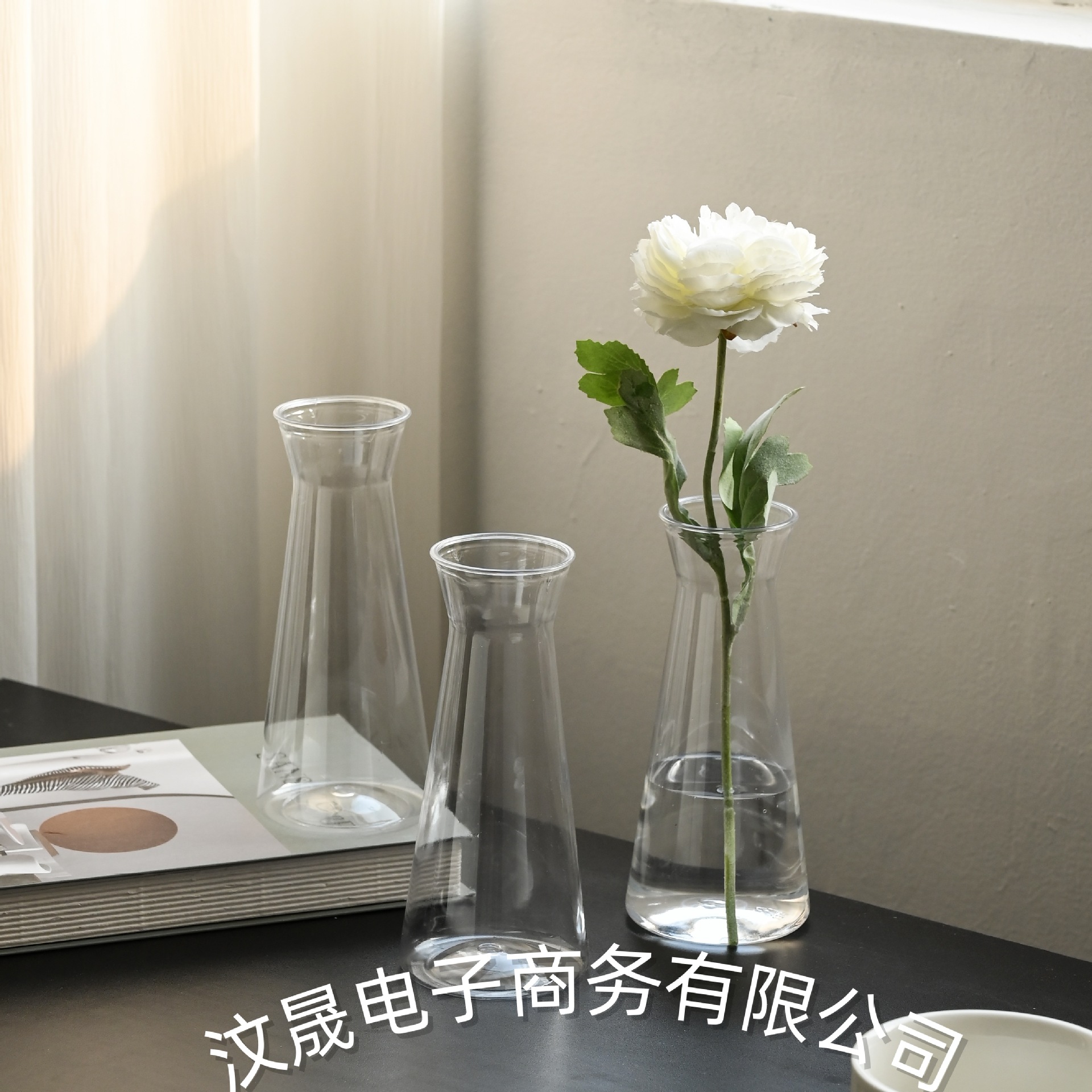 Cross-Border Wholesale New Flat Tapered Plastic Vase Nordic Modern Desktop Decoration Flower Arrangement Hydroponic Transparent Vase