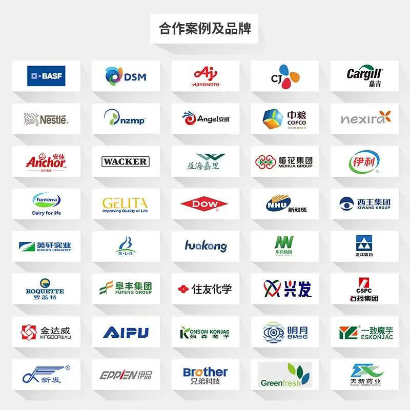 Ready Supply of Argentine Desalted Whey Milk D40 Large Bag Powder