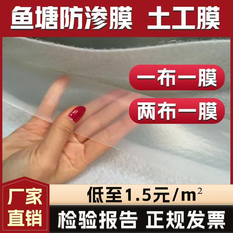 Pe Slope Protection Special Hd Anti-Seepage Long Life Durable Waterproof and Moisture-Proof Geomembrane Two Fish Ponds Reservoir Composite