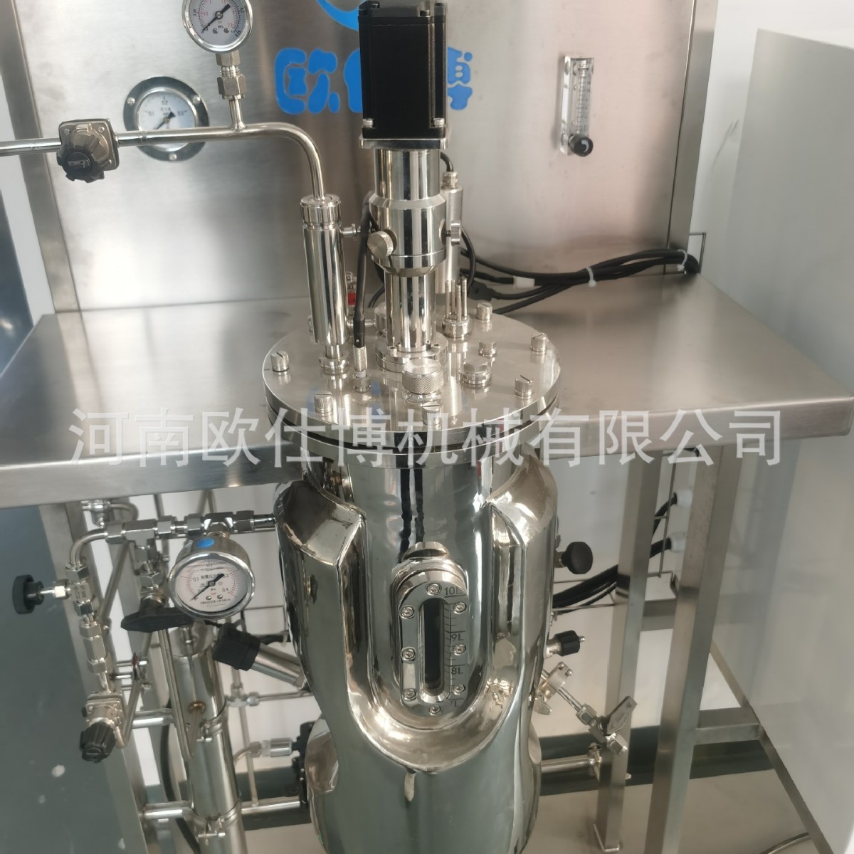 20L Experimental Tank Parallel Test Fermentation Tank Fermentation Conditions Optimization Stainless Steel Mechanical Stirring System Support