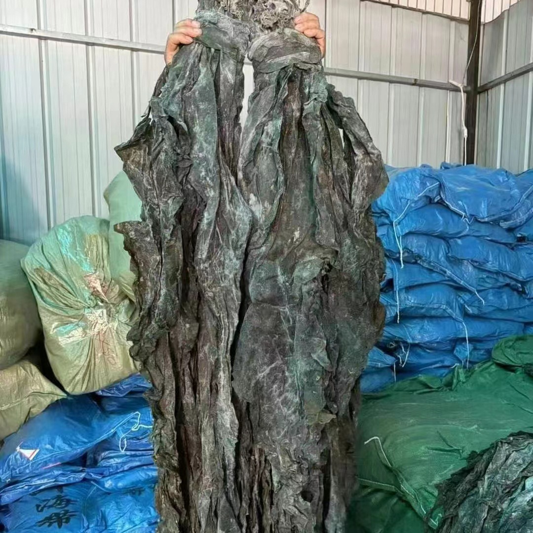 Dried Kelp from Fujian, Bulk Supply from Manufacturers, Wholesale from Shandong - New Products for Street Vendors and Supermarkets