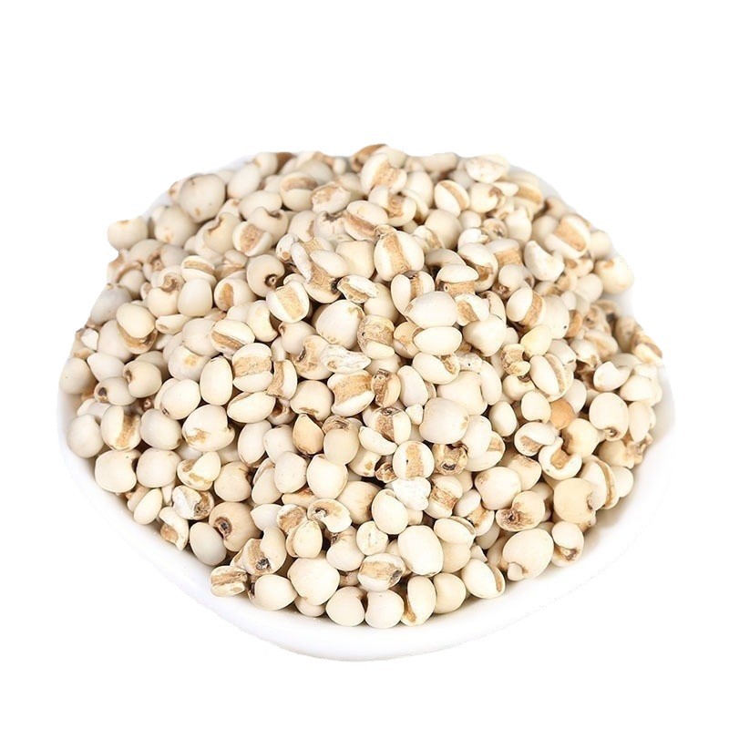 Factory wholesale cooked coix seed Guizhou small coix seed grinding raw materials fried small coix seed low temperature baking small coix seed
