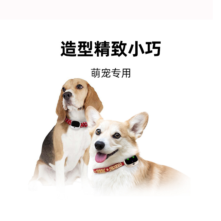 Cross-border Explosions 4G Pet Locator GPS Dog Locator Cat Tracker Cross-border Collar Cat and Dog Anti-lost J