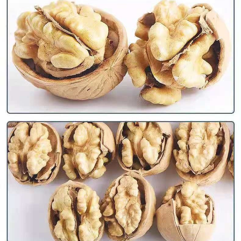 Walnuts 185 Paper-Skinned Walnuts Specialty Dried Fruit New Arrival Thin-Skinned Walnuts Wholesale Bagged Walnuts Whole Box for Sale