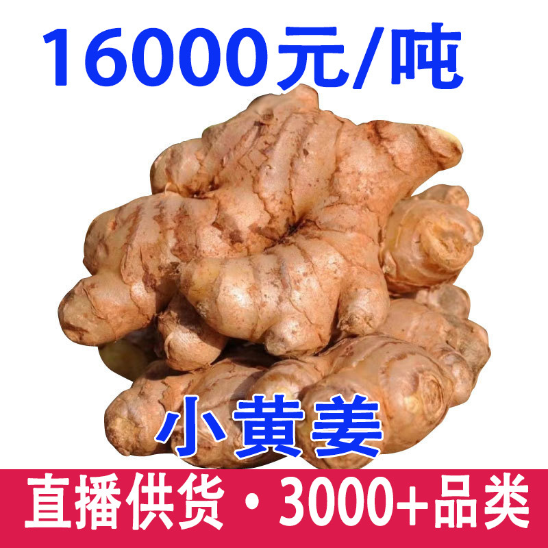 Свежий куркума из Юньнани оптом, старый имбирь, новый имбирь, свежий кусочек имбиря