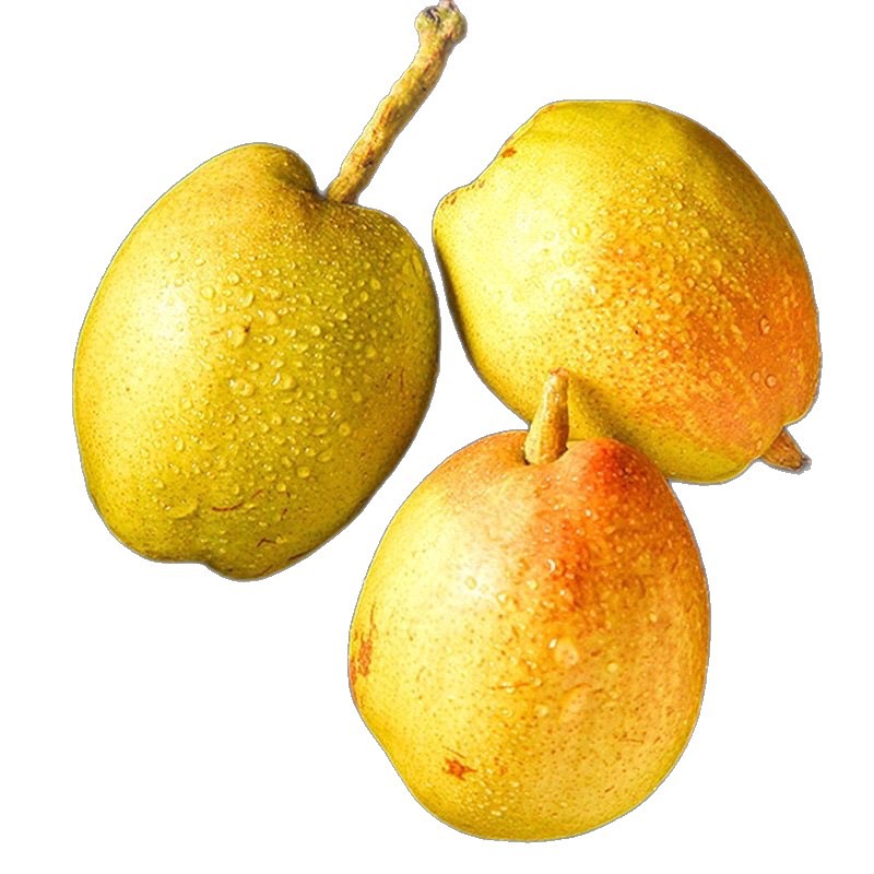 Authentic Xinli No. 7 Fragrant Pears 4.5kg Whole Box of Mother Pears Seasonal Fresh Fruits 10 Wholesale Free Shipping 5 Red Crispy Pears