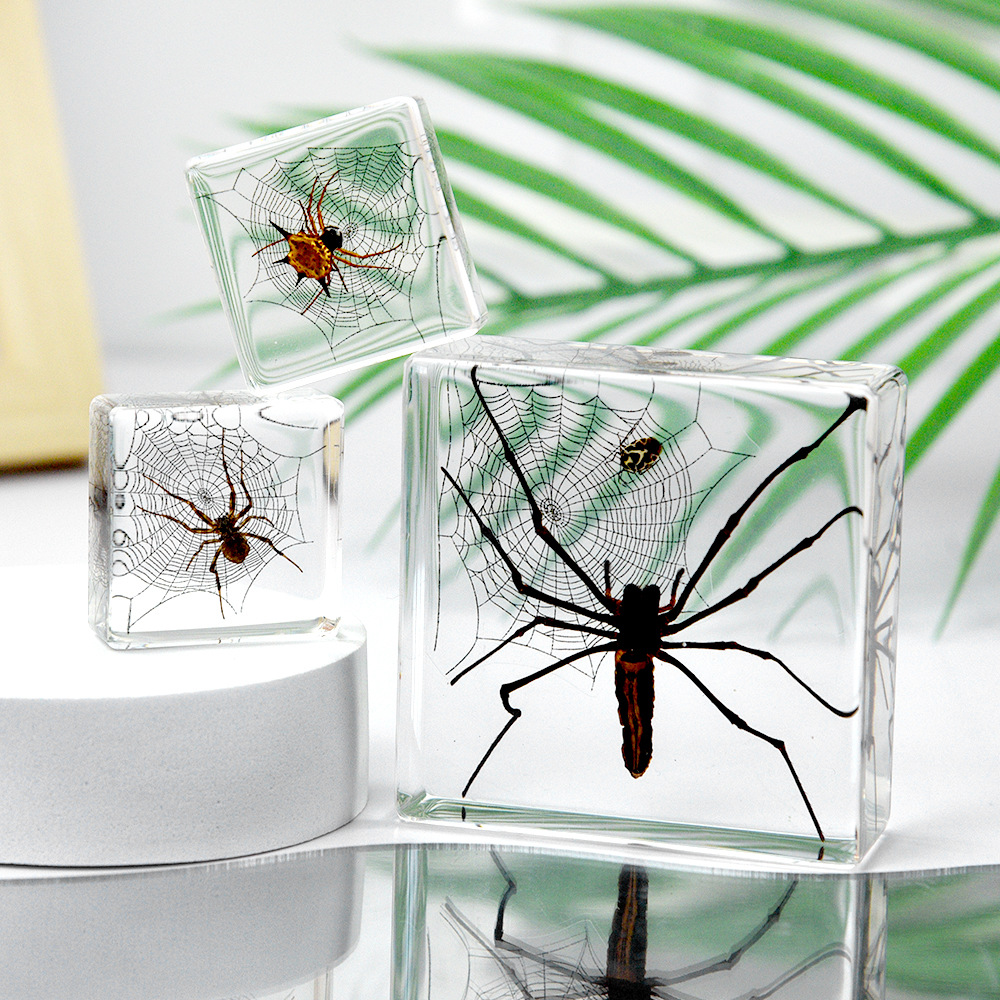 Millennium bug source manufacturers primary source cross-border exclusive for insect specimens real spider resin crafts ornaments