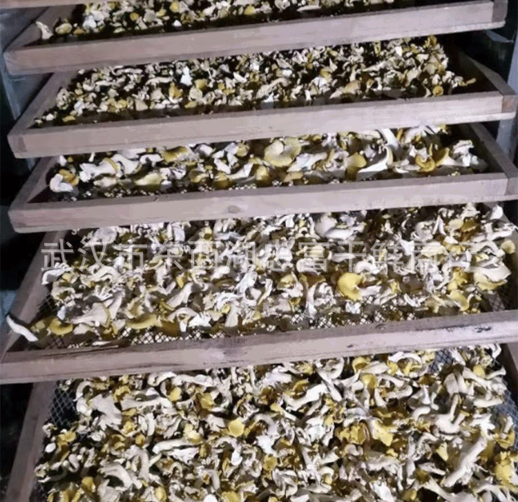 New goods chicken oil fungus dry goods soup fungus chicken oil mushroom soup bag edible mushroom bulk wholesale