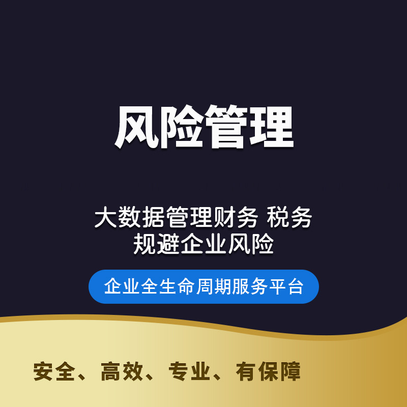 Nanjing Company Financial and Tax Consulting, Accounting Agency, Financial Statement Preparation, Company Accounting Agency, Accounting Processing and Tax Filing