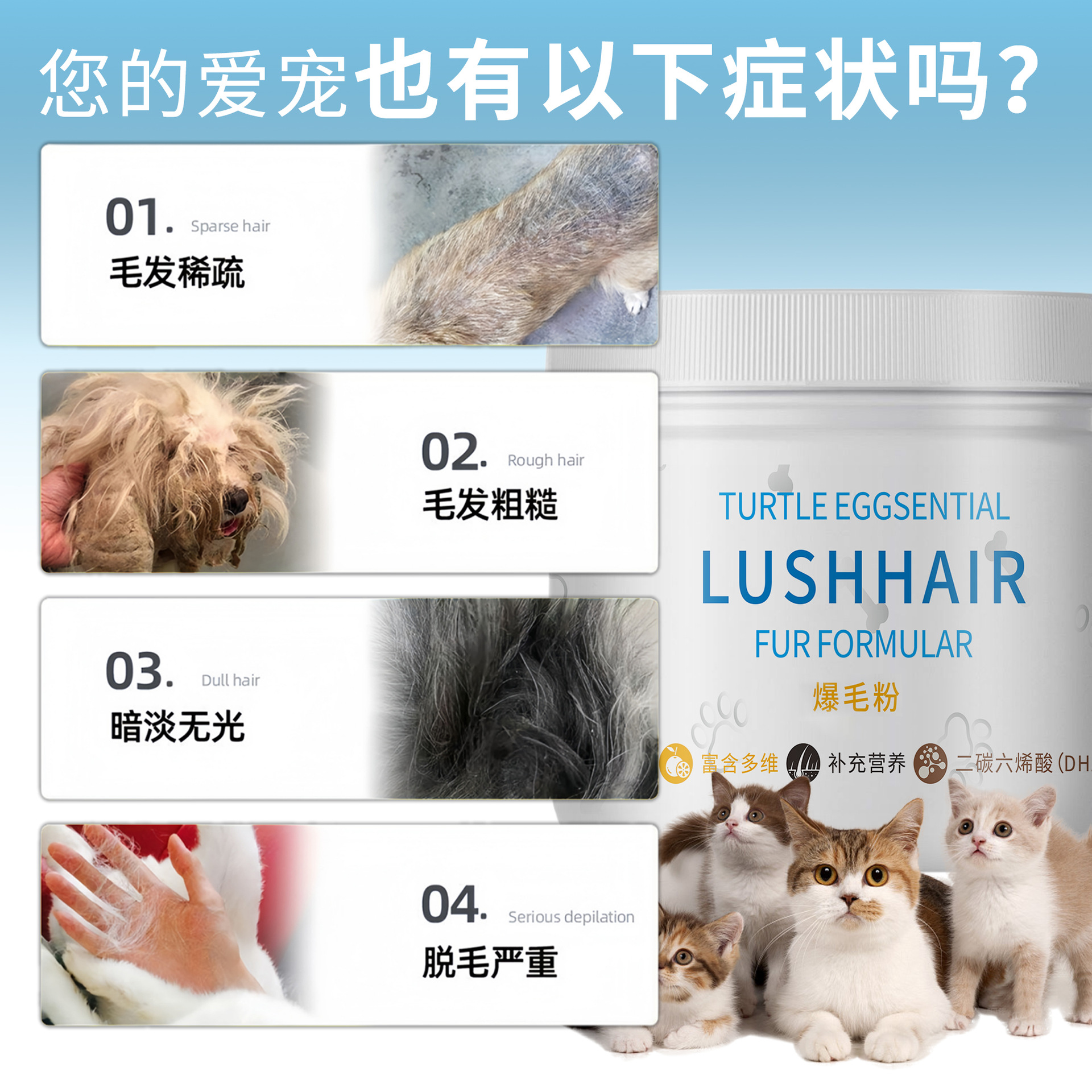 Turtle Egg Hair Blasting Lecithin Hair Beauty Powder Increases Hair Volume Nutritional Supplement for Cats and Dogs Universal Manufacturer