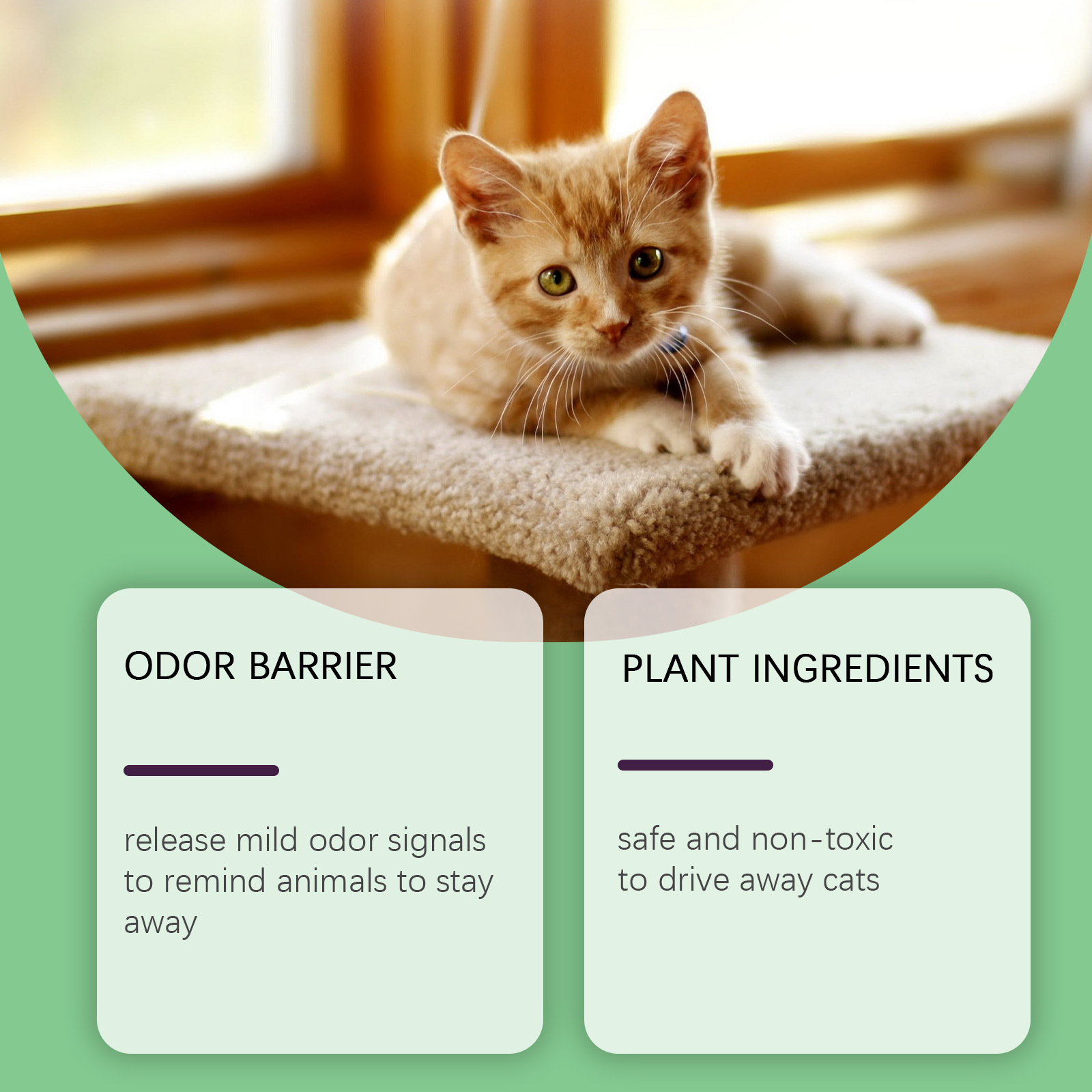 Eeljoy Cat Repellent Pills Indoor and Outdoor Training Pet Anti-Bite and Scratch Furniture Interference Household Repellent Pills