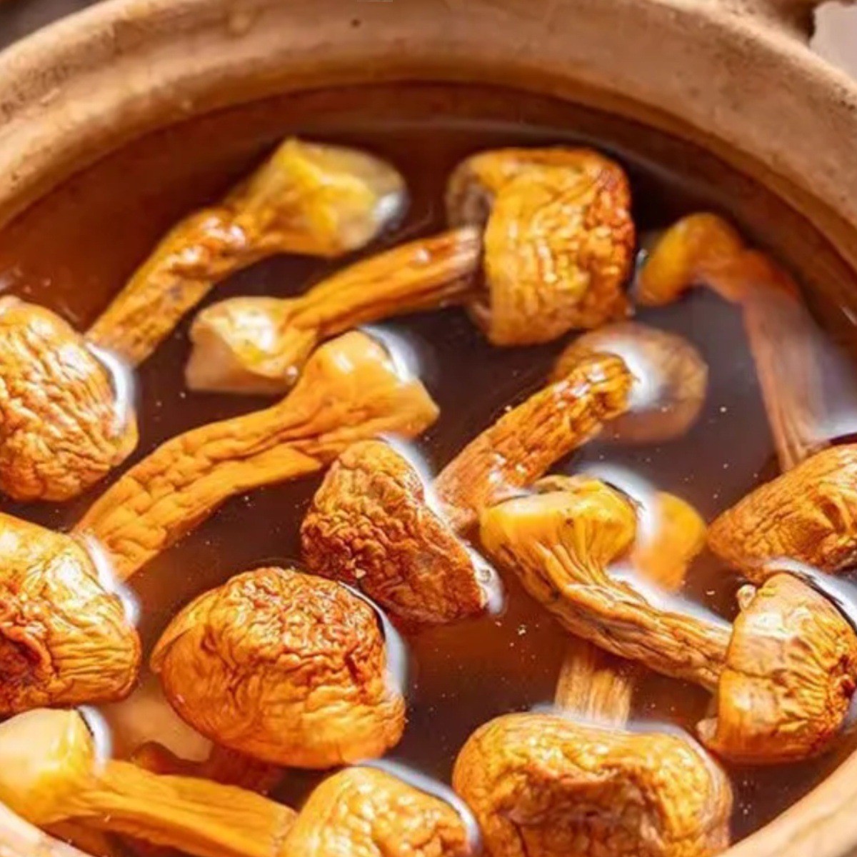 Agaricus blazei dry goods fresh Agaricus blazei non-Yunnan specialty matsutake soup ingredients household seasonal new