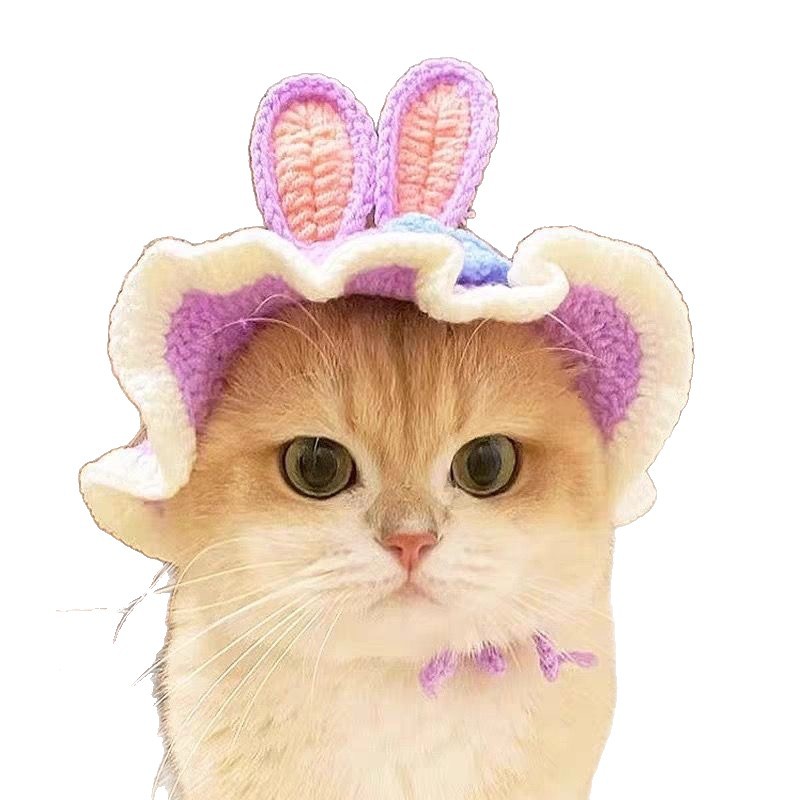 Pet Headgear, Cat and Dog Knitted Hat Props, Funny Transformation Clothing Wholesale, Small Flower Headgear Cross-Border
