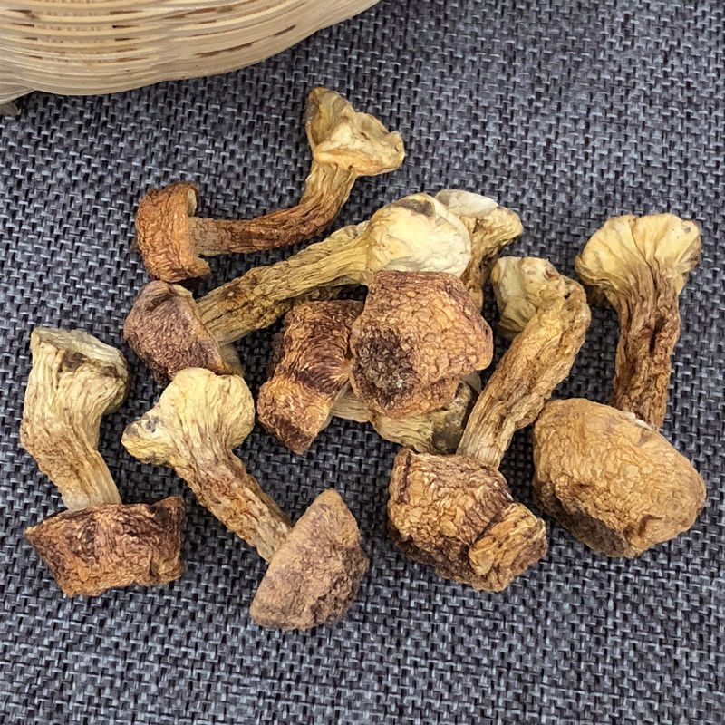 Producers direct sales of Yunnan specialty Agaricus blazei dried goods Brazil mushroom county fragrant Agaricus blazei wholesale Yunnan