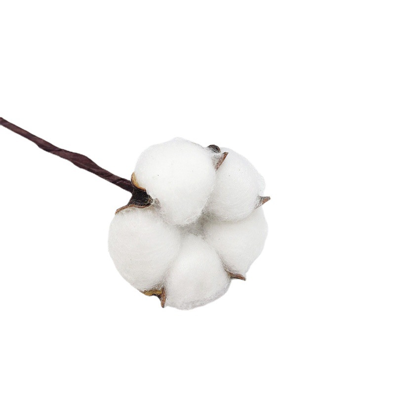 Factory wholesale simulation single head kapok head natural dried flower branches cotton wreath Christmas supplies eternal flowers