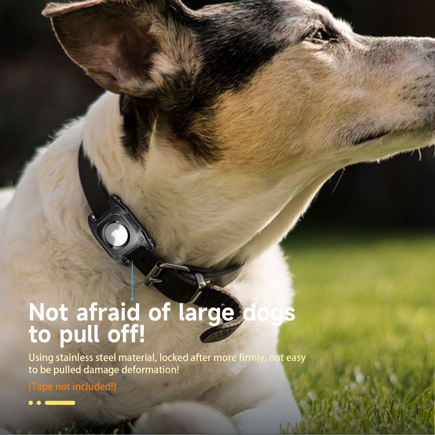 Anti-lost device for airtag pet lanyard hole disassembly and assembly tracking waterproof case dog collar webbing cat dog rope