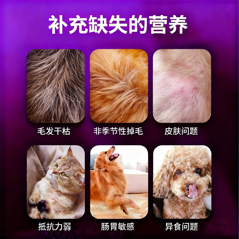 Lecithin for Puppies, Adult Dogs, Cross-Border Cats and Dogs, Lecithin Hair Nutritional Supplement Granules, Oem Customization