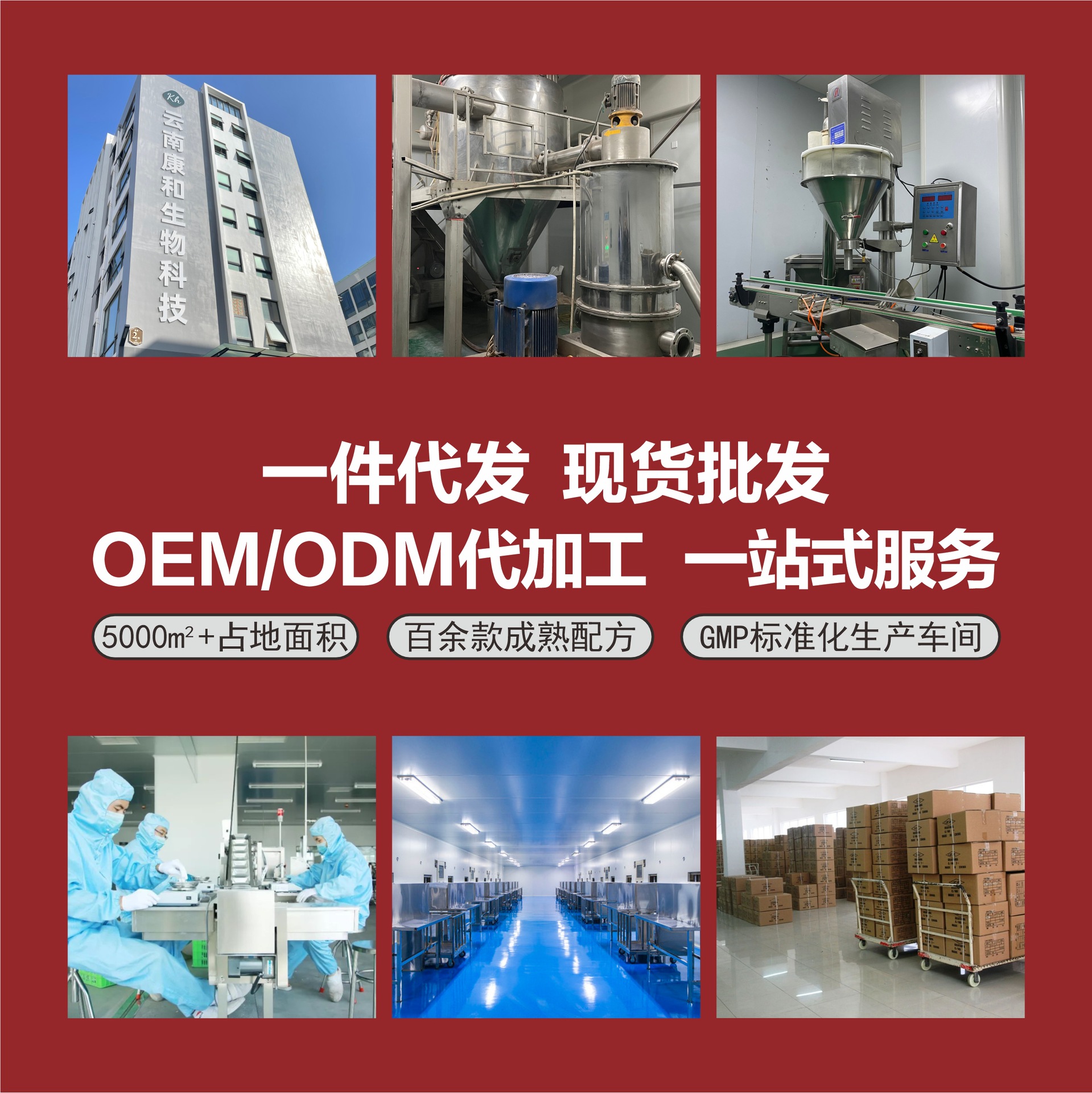 Factory Wholesale Small Turmeric Slices, New Goods, Bulk Dry Ginger Slices with Red Dates and Wolfberry Soaked in Water for Soup, Dehydrated Ginger Slices