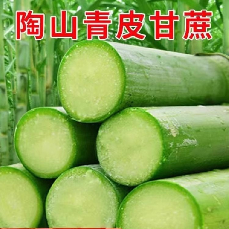 Аутентичный сахарный тростник Таошань, зеленокожий фруктовый сахарный тростник из Вэньчжоу, свежесрезанный зеленокожий фруктовый сахарный тростник 2.5кг, подарочная коробка Shunfeng