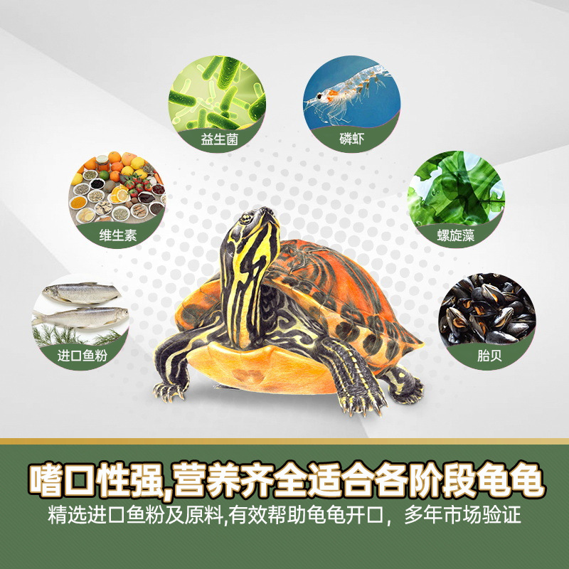 Inch Golden Turtle Food Turtle Food Small Particles Snapping Turtle Food Calcium Supplement Universal Brazilian Turtle Hatchling Food Special Food Dried Shrimp