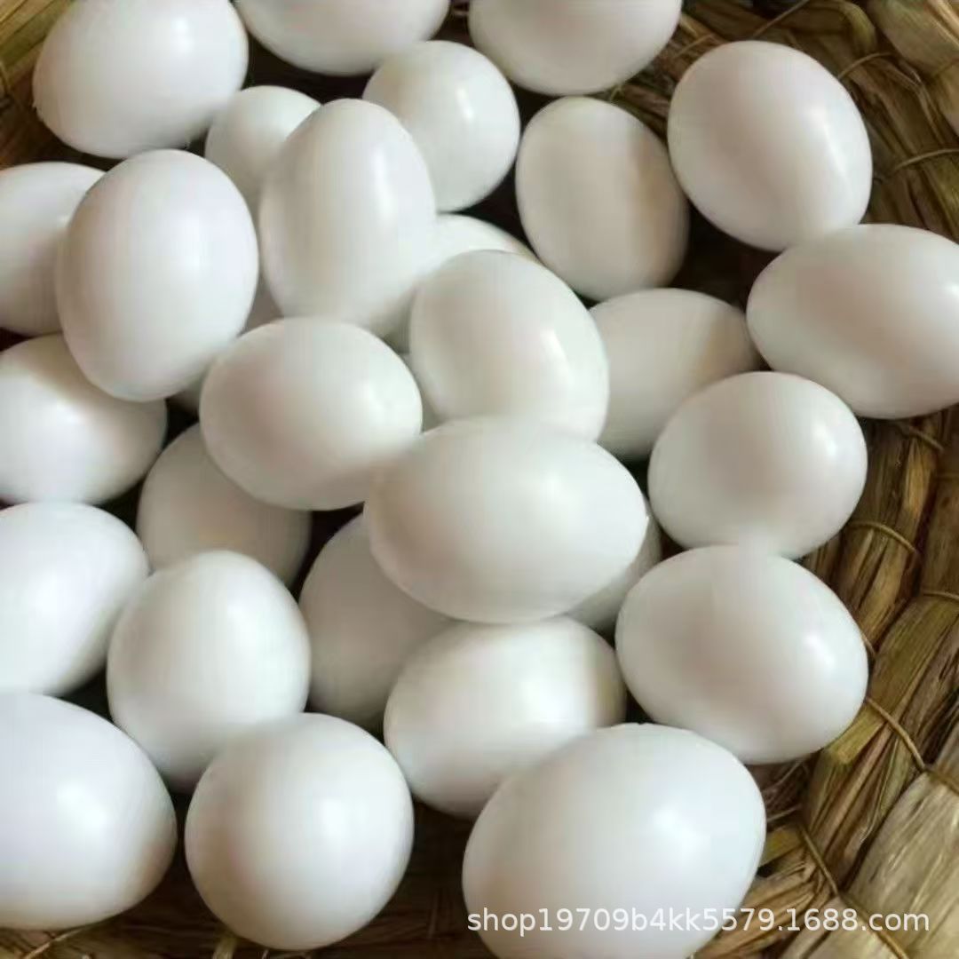 Plastic Solid Egg Artificial Pigeon Egg Fake Egg Pigeon Farm Special 34Mm*24Mm Size Plastic Fake Egg